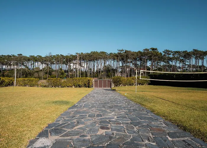 Dunea - Oceanfront Luxury And Serenity - Ofir