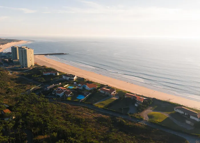 Dunea - Oceanfront Luxury And Serenity - Ofir *